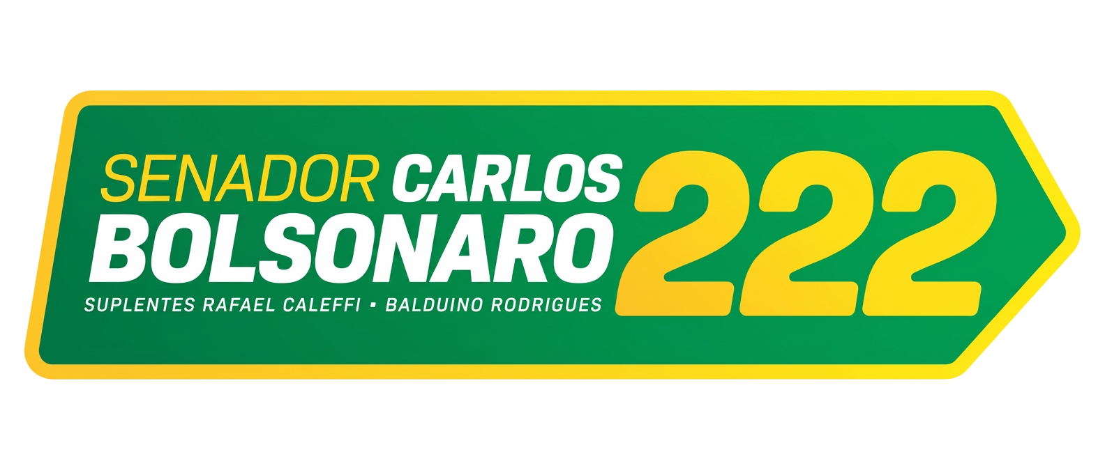 Senador Carlos Bolsonaro 222